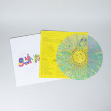 Load image into Gallery viewer, Slippers - So You Like Slippers?