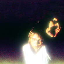 Load image into Gallery viewer, Lily Seabird - Alas,